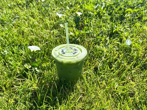 Can Matcha Fix Us?